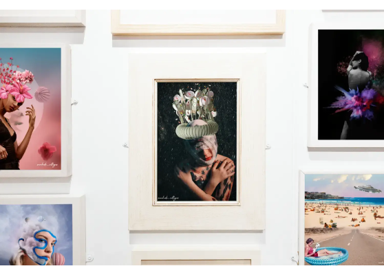 Sara Herranz sarahade_collages