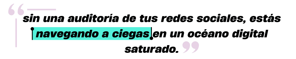 no navegues a ciegas sin una auditoría